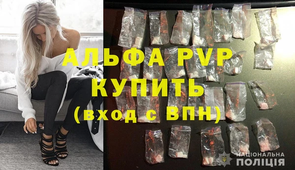 ПСИЛОЦИБИНОВЫЕ ГРИБЫ Михайловск