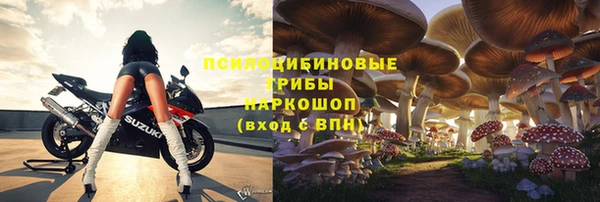 ПСИЛОЦИБИНОВЫЕ ГРИБЫ Михайловск