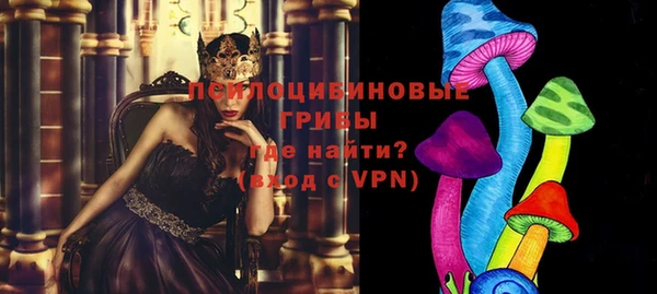 apvp Михайлов